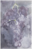 Sarjasta Rypäleitä / From  a series of Grapes, 2009, 49 x 31,5 cm 